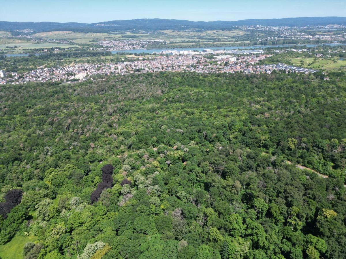 Ferienhaus Budenheim エクステリア 写真